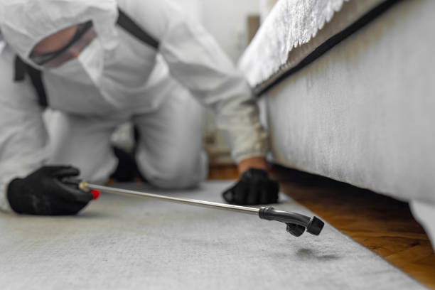 Professional Rodent Control technician working in North Pembroke, MA