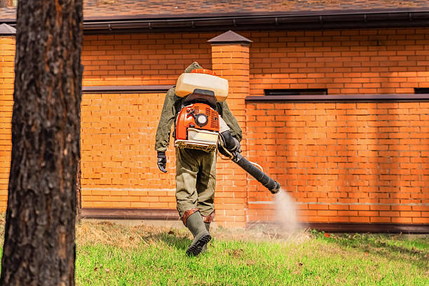 Trusted Rodent Control service in North Pembroke, MA - Nex Pest Control